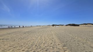 GC-Playa El Veril (Playa del Ingles) 2025-02.jpg